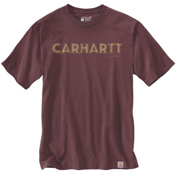 Carhartt Logo Grafisch S/S T-shirt